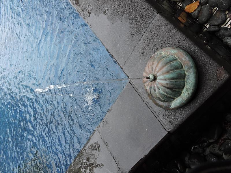 The Millen Penang, Autograph Collection Hotel George Town Buitenkant foto A fountain in the city of Bursa